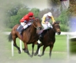 SOUTHWELL RACE COURSE